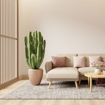 ilustrasi kaktus di dalam rumah