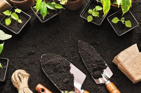 5 Rekomendasi Buku tentang Pertanian Terbaik untuk Memperdalam Ilmu Berkebun