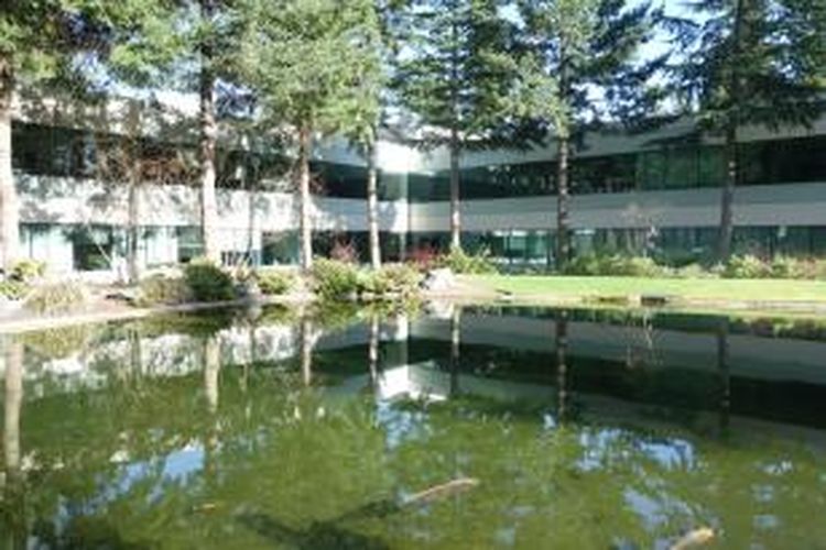 Lake Bill, sebuah kolam yang konon kerap digunakan oleh pimpinan tim yang akan berenang melintasinya jika tim tersebut berhasil memenuhi tenggat waktu atau terget terentu. Wilayah di sekitarnya biasa digunakan untuk pesta, terutama di masa-masa awal Microsoft.