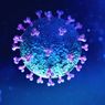 Menkominfo: Perkembangan Virus Corona Tidak Konsisten, Kita Harus Ikuti Perkembangannya
