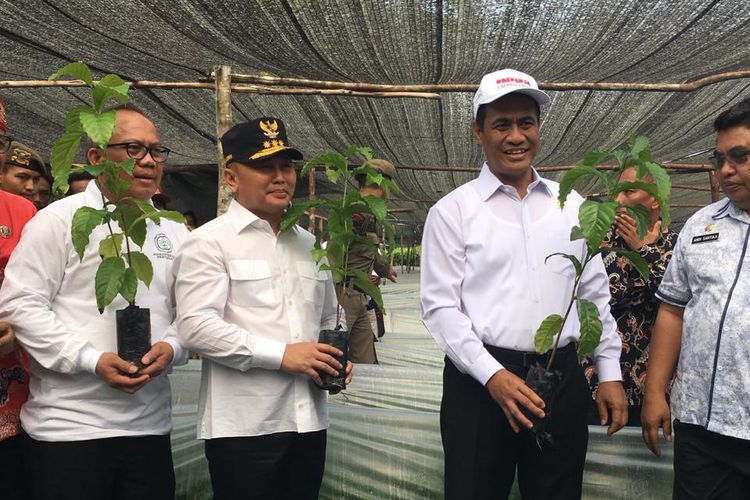 Menteri Pertanian, Andi Amran Sulaiman (memakai topi putih) didampingi Gubernur Kalimantan Tengah Sugianto Sabran (topi hitam) dan Direktur Jenderal (Dirjen) Perkebunan Kasdi Subagyonosaat (dua dari kiri) saat menghadiri peluncuran Program BUN500 di Desa Sido Mulyo, Palangkaraya, Kalimantan Tengah, Kamis (18/7/2019).
