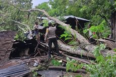 Diterjang Puting Beliung, 35 Rumah Warga di Kabupaten TTU Rusak