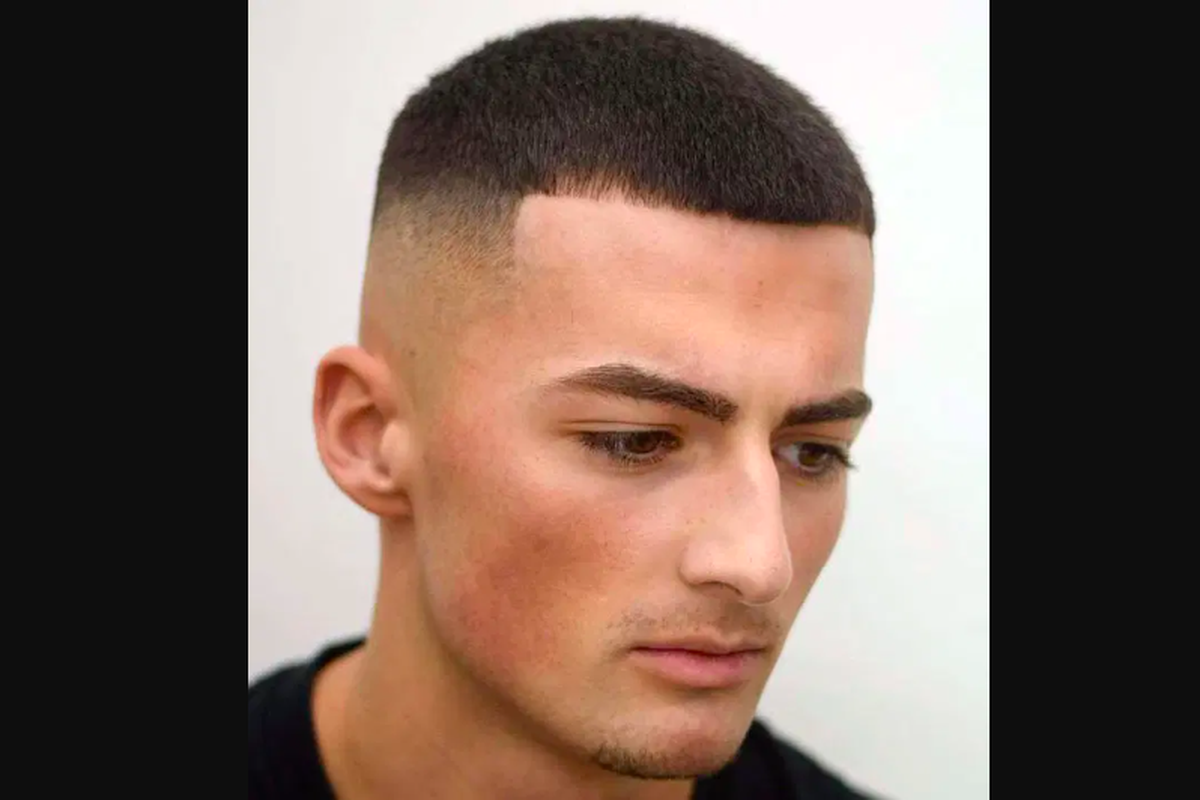 Model rambut pria buzz cut