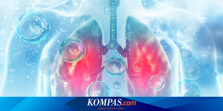 Sembuh Dari Virus Corona Benarkah Fungsi Paru Paru Berkurang