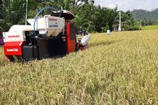 Ajak Petani di Agam Manfaatkan KUR, Mentan: Kini Petani Tak Perlu Risau