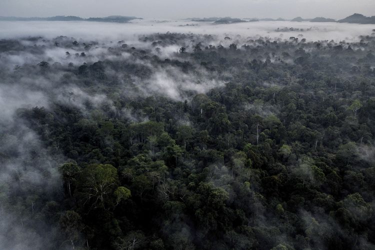 Foto aerial kawasan hutan Gunung Batu Benau, Desa Sajau Metun, Kabupeten Bulungan, Kalimantan Utara.