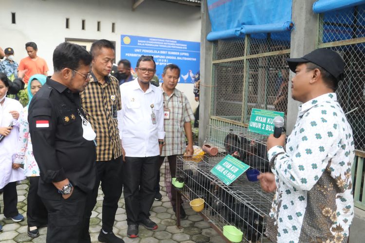 Menteri Pertanian Syahrul Yasin Limpo (Mentan SYL) saat meninjau Unit Pengelola Benih Sumber (UPBS) Varietas Unggul Baru (VUB) di Badan Penelitian dan Pengembangan Pertanian (BPTP) Nusa Tenggara Barat (NTB).