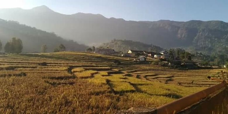 Hamparan persawahan di Lembah Ranggu dengan latar belakang Poso Kuwuh, Kecamatan Kuwus, Kabupaten Manggarai Barat, NTT. 