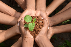 Kanada Rilis Panduan Anti-Greenwashing untuk Perusahaan