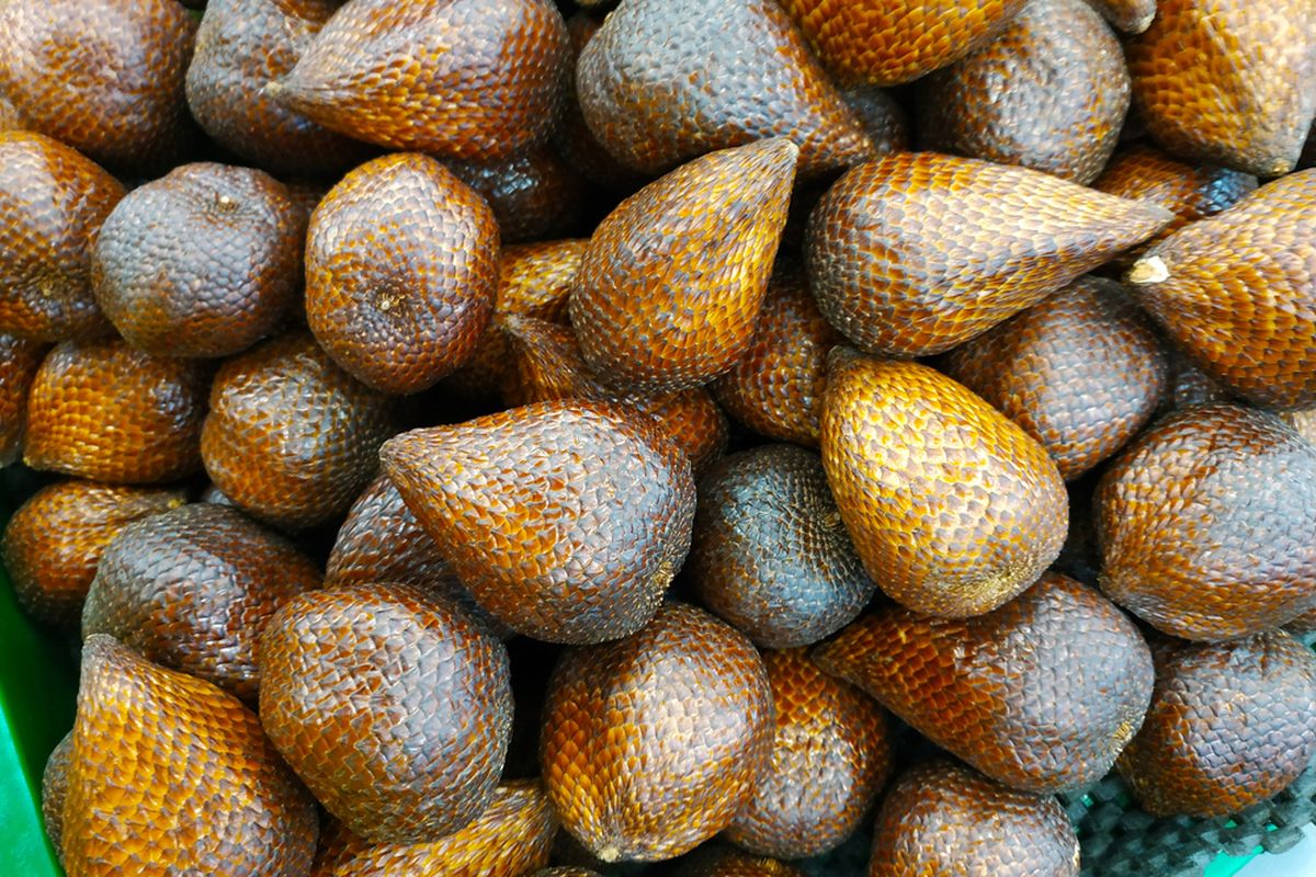 Buah salak merupakan buah tropis unik yang mengandung sejumlah nutrisi yang memberikan manfaat untuk kesehatan, seperti meningkatkan energi, mengelola berat badan, dan menjaga kesehatan mata. 