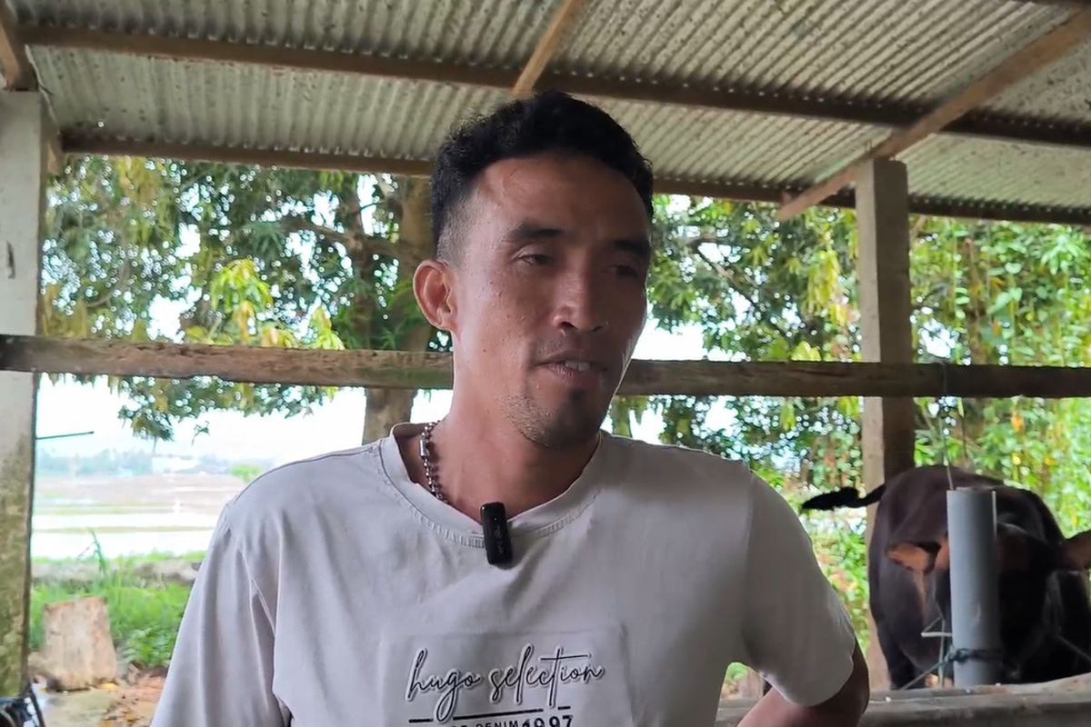 Sapinya Gagal Dibeli Presiden Prabowo Karena Mati Mendadak, Dedi Irawan Sedih Tak Bisa Tambah Modal Usaha *** Local Caption *** Sapinya Gagal Dibeli Presiden Prabowo Karena Mati Mendadak, Dedi Irawan Sedih Tak Bisa Tambah Modal Usaha