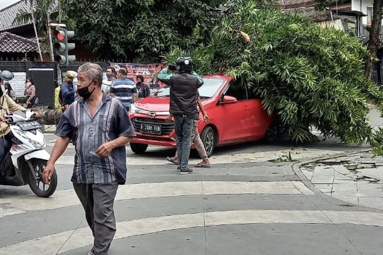 Sebuah pohon jenis glodokan tiang di perempatan Lampu merah McDonalds Jalan Kemang Raya, Bangka, Mampang Prapatan, Jakarta Selatan tumbang dan menimpa mobil pada Kamis (28/1/2021) sekitar pukul 12.45 WIB.