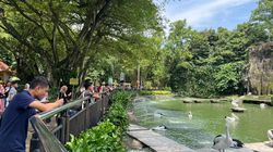 Ragunan Akan Buka Sampai Malam Tiap Sabtu untuk Pengunjung Berolahraga