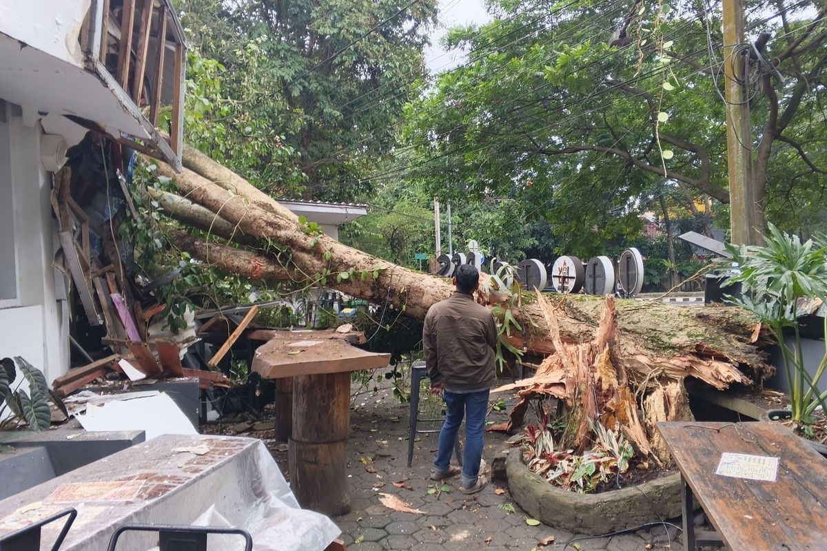 Pohon tumbang menimpa bangunan kafe BSS Food Market di Jalan Taman Cibeunying Utara, Kota Bandung, Jumat (3/4/2026).