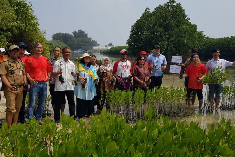 Teaser film impian 1000 pulau diluncurkan oleh Gerakan 1000 pada Senin (30/7/2018) di Pulau Kelapa Dua, Taman Nasional Kepulauan Seribu. Film yang sarat dengan nilai-nilai revolusi mental dan sustainability tersebut sekaligus menjadi media promosi Kepulauan Seribu yang telah ditetapkan pemerintah sebagai salah satu Kawasan Strategis Pariwisata Nasional (KSPN).