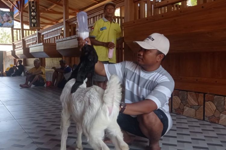 Kandang kambing di Tuban, Jawa Timur.