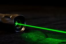 Mainan Laser Berbahaya untuk Anjing, Benarkah?