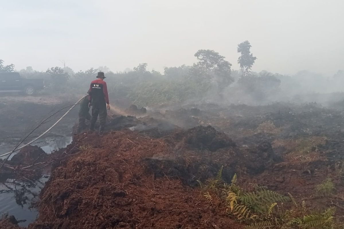 Kebakaran hutan dan lahan (karhutla) di Kabupaten Aceh Barat terus meluas.