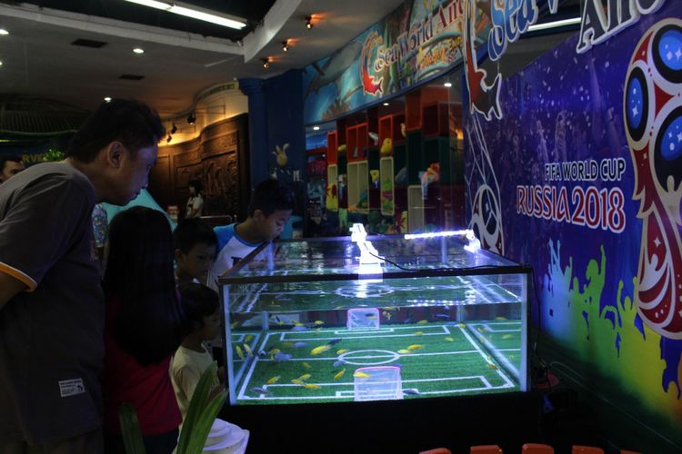 Aquariun berdekorasi lapangan bola memperingati Piala Dunia di Sea World Ancol. 