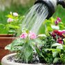 5 Tips Menghemat Air Saat Menyiram Tanaman di Kebun