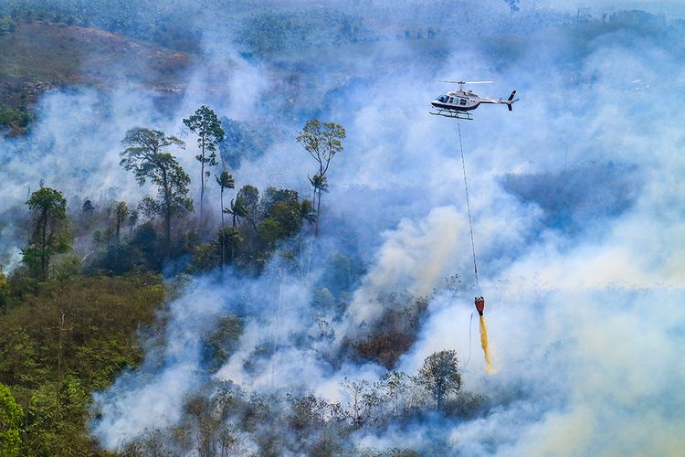 Ilustrasi water bombing dalam upaya pemadaman kebakaran hutan.