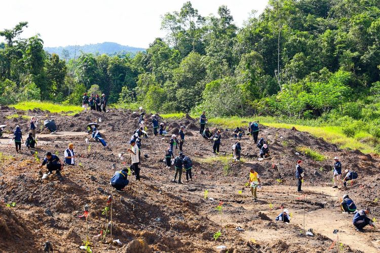65 Persen Wilayah IKN Tetap Jadi Kawasan Lindung