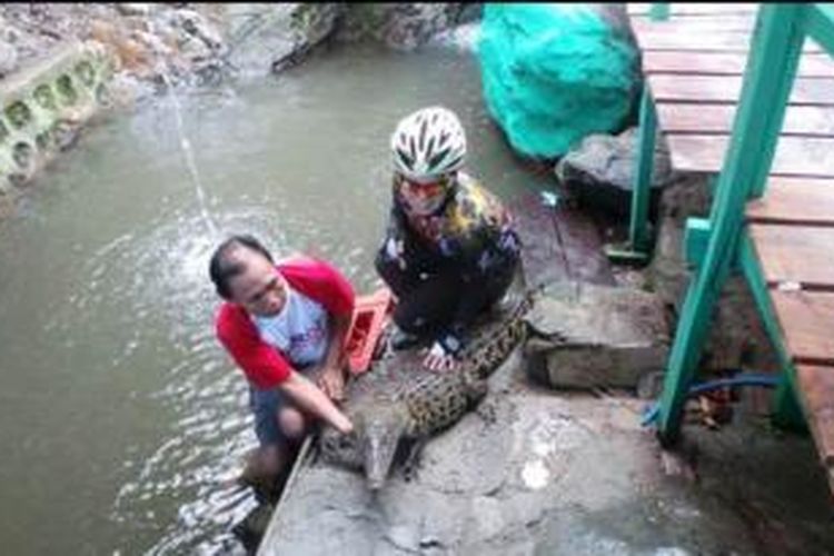 Pegang Buaya Di Air Terjun Gunung Rambutan Berani