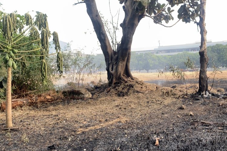 Kebakaran Lapangan Bola TNI AU di Jaksel Padam, Asap Masih Muncul di Sejumlah Titik