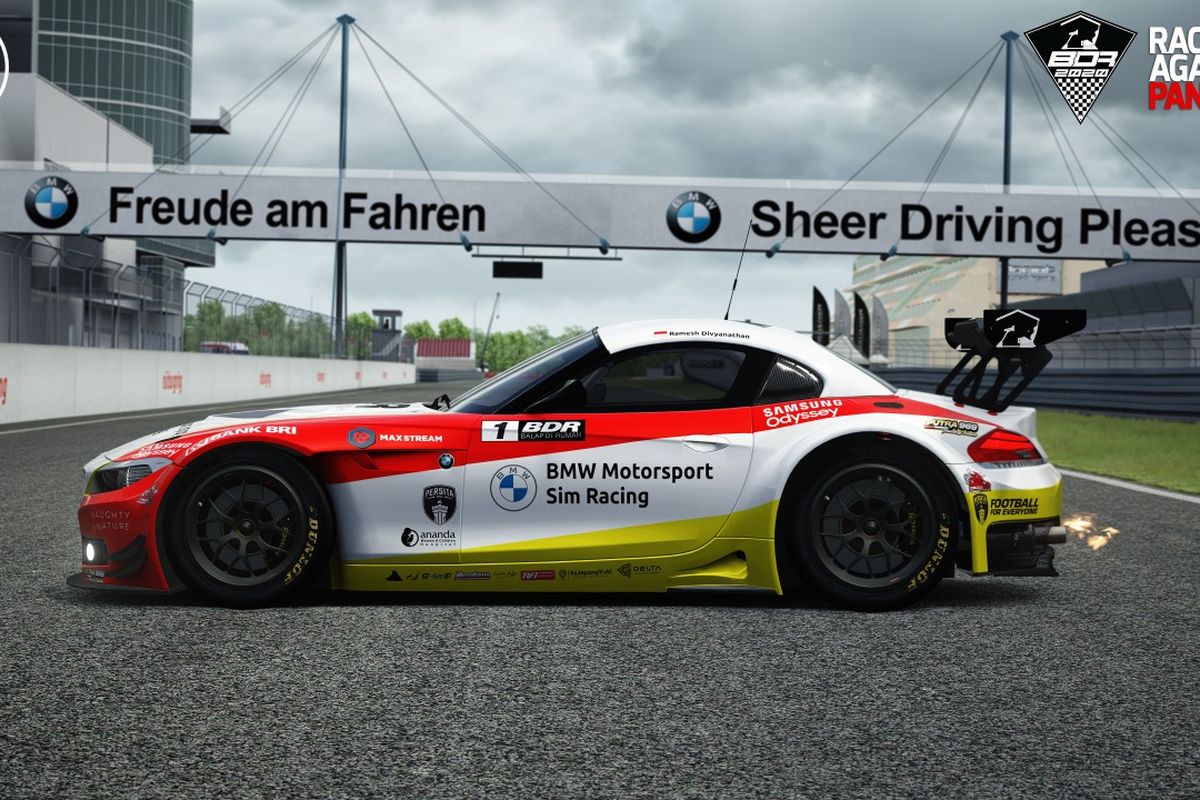 Bmw z4 gt3