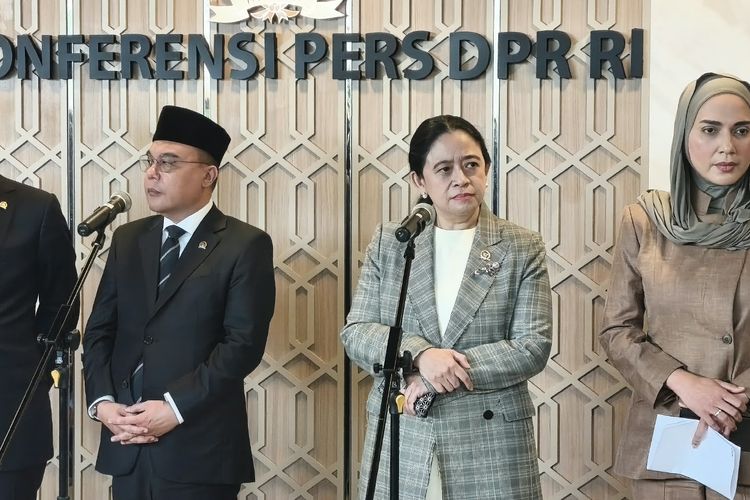 Puan Dorong Pemerintah Koordinasi Lintas Sektor Tangani Karhutla