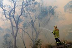 Dephan Australia Dituduh Jadi Penyebab Kebakaran Hutan