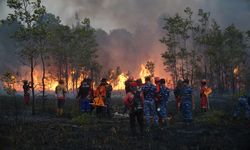 Karhutla Jadi Momentum Evaluasi Tata Kelola Kehutanan, Koalisi Desak Perubahan UU