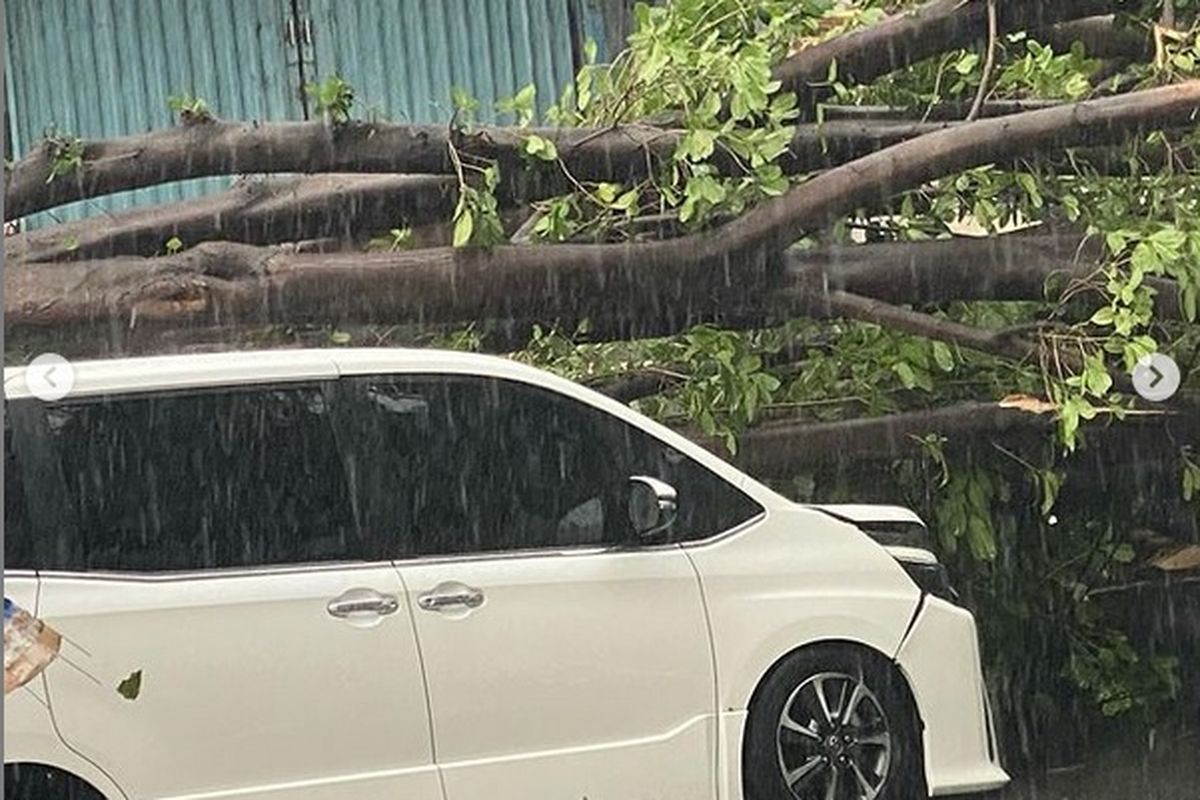 Mobil Erros Djarot tertimpa pohon di Tanah Kusir, Jakarta Selatan, Minggu (11/4/2021).