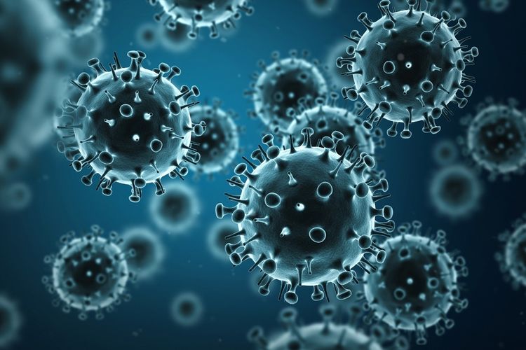 virus dapat memperbanyak diri atau bereplikasi di dalam sel inang dengan memasukkan materi genetik atau asam nukleatnya ke dalam sel inang dengan tujuan