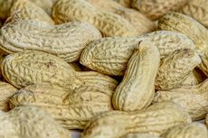 Cara Membuat Kompos dari Kulit Kacang
