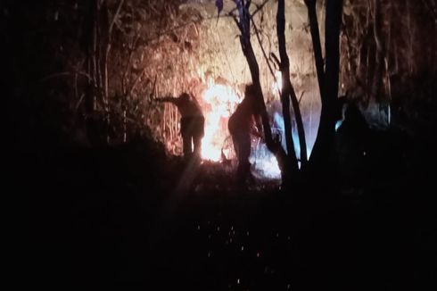 17,5 Hektar Hutan di Gunung Pegat Wonogiri Terbakar