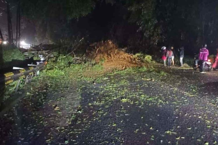 Jalur Puncak di kawasan Lembah Koi Cianjur, Jawa Barat tertimbun material longsor akibat tebing setinggi 20 meter lonsgor, Kamis (22/1/2025) malam.