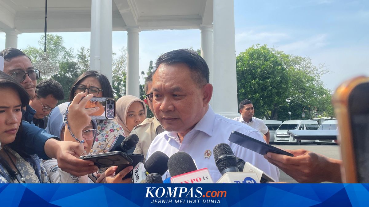 Hukum Internasional Larang Pesawat Militer Asing Lewat RI Tanpa Izin, Kata Penasihat Prabowo