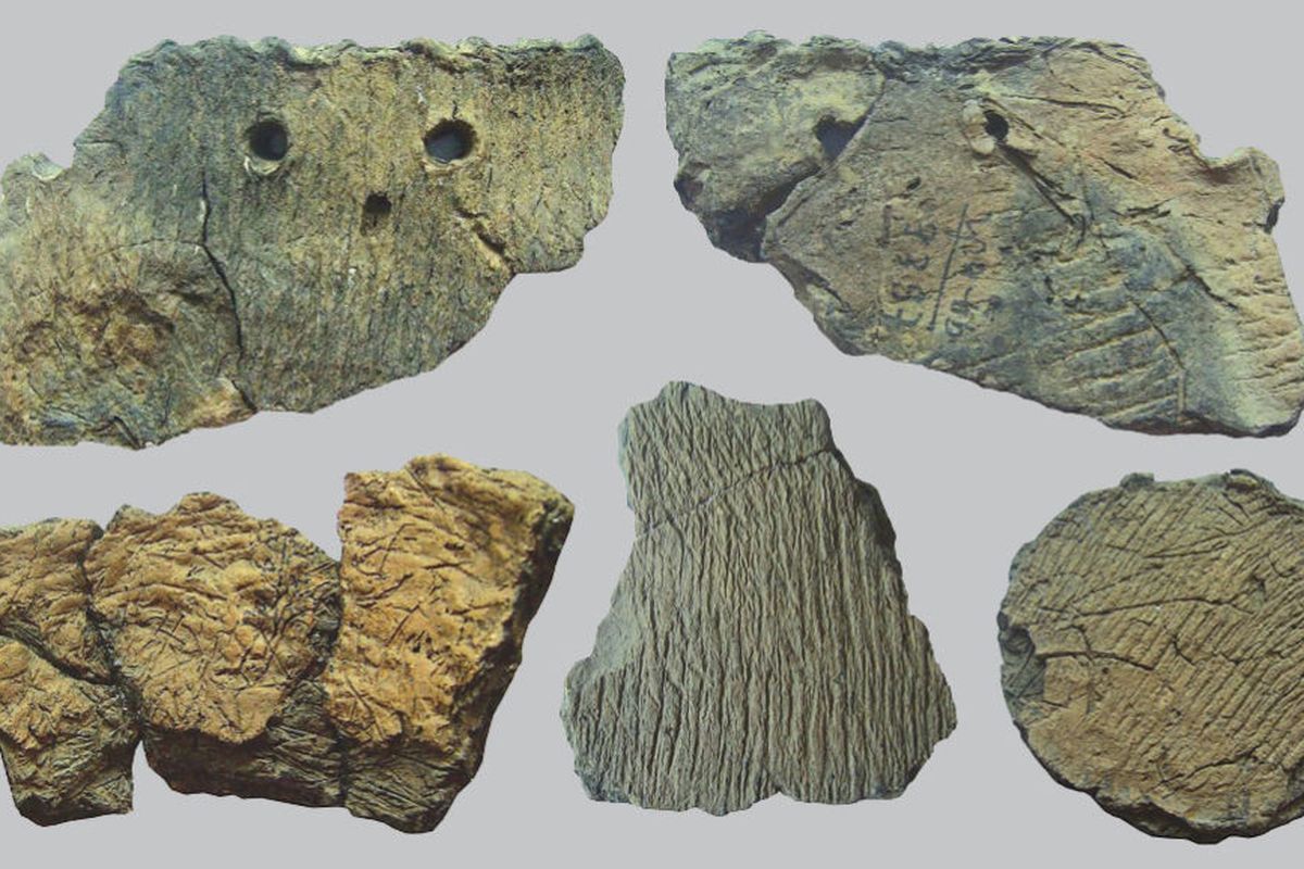 Pecahan keramik dari tembikar kuno dalam penelitian untuk mengungkap asal usul gerabah di zaman es Asia Timur.