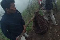 Pendaki Temukan Mayat Perempuan di Jalur Senaru Gunung Rinjani