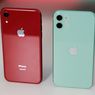 Harga iPhone 11 Turun di iBox, Eraspace, dan Digimap, Ini Daftarnya
