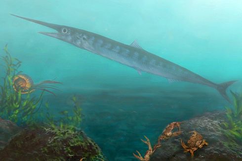 Berkat Bocah 10 Tahun, Paleontolog Temukan Fosil Ikan 90 Juta Tahun