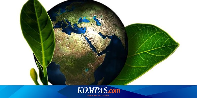 Lirik Dan Makna Lagu Hijau Rumahku Hijau Bumiku