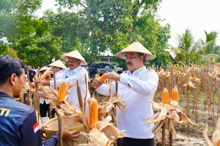  Menteri Imigrasi dan Pemasyarakatan Agus Andrianto. 