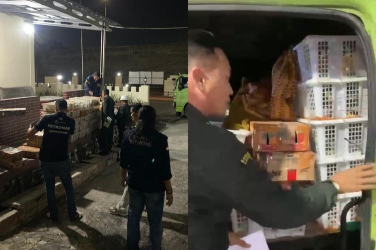 Truk Angkut Potong Kepergok Selundupkan 1.106 Burung Liar di Pelabuhan Bakauheni