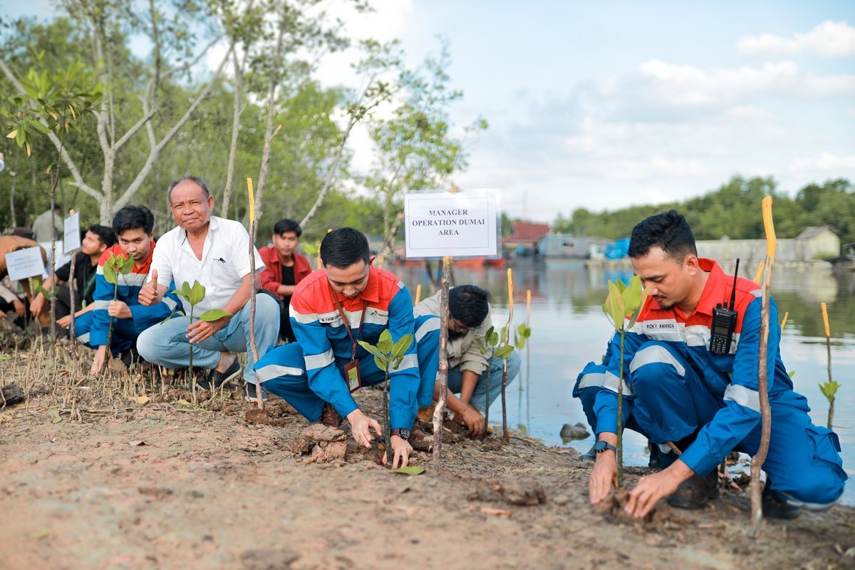 Pertamina telah menanam sekitar 9 juta pohon di Hutan Lestari Pertamina pada periode 2018?2024.