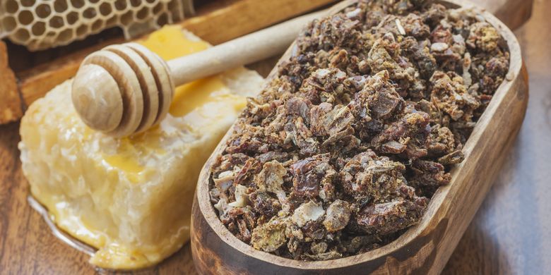 Apa Itu Propolis? Bahan Alami di Dalam Sarang Lebah - Vimarsana News