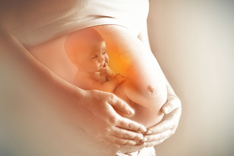 Ilustrasi ibu hamil positif Covid-19, ibu hamil terinfeksi Covid-19.
