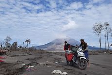 Cerita Korban Erupsi Semeru Mengais Barang-barang dari Rumah yang Tertimbun Abu Vulkanik