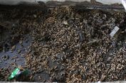ITB Kembangkan Pepton dari Maggot untuk Kurangi Ketergantungan Impor